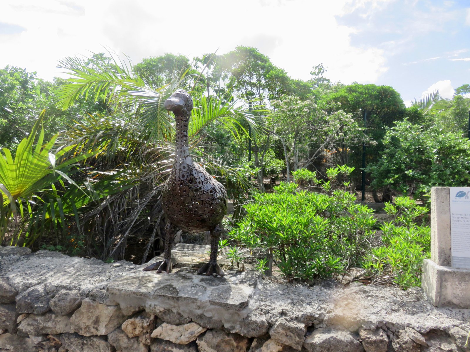 Le solitaire de Rodrigues.                    