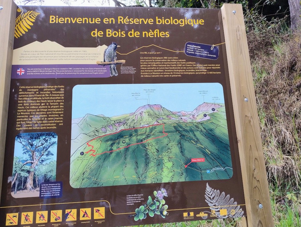 Reserve_biologique_de_Bois_de_Nefles-090412695_AE.jpg