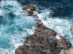 IMG_2481