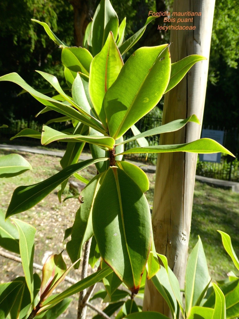 P1160063
