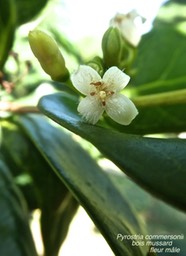 P1160089