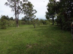 13 DSC03068