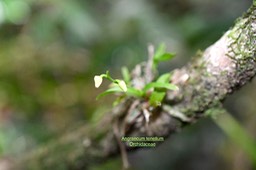 DSC_1714-1
