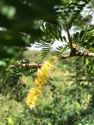 image3