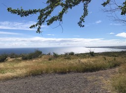 image6