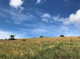 IMG_8365