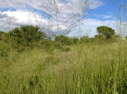 P1013689