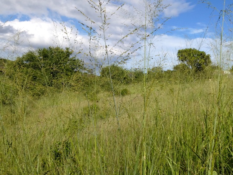 P1013689