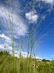 P1013725