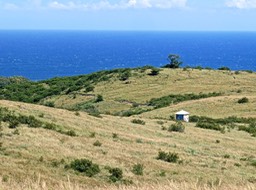 P1013984