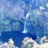 Bassin des Aigrettes 9475.jpeg
