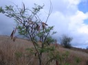 Moza IMG_4714