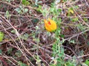 ??? IMG_4715