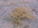 ??? IMG_4716