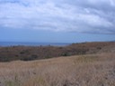Savane, Mozas, au fond Le PortIMG_4720