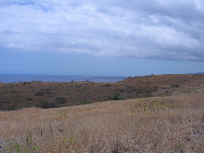 Savane, Mozas, au fond Le PortIMG_4720