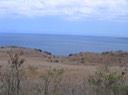 Savane au-dessus de la Baie de de Saint-Paul IMG_4722