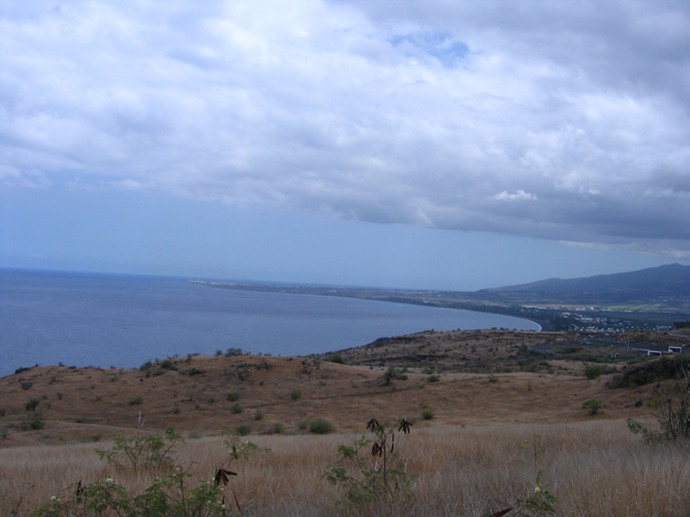 Savane au-dessus de la Baie de de Saint-Paul - au fond Le Port IMG_4723