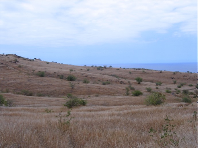 Savane IMG_4725