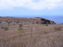 Savane IMG_4726