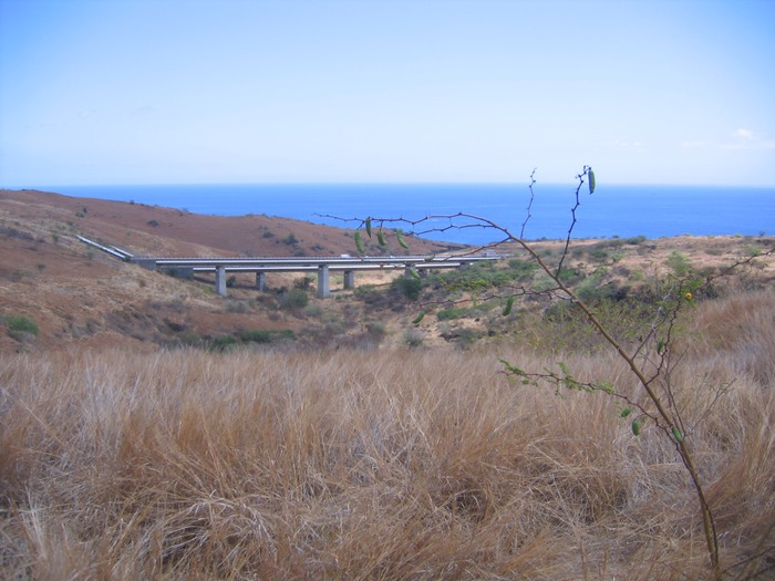 IMG 0022