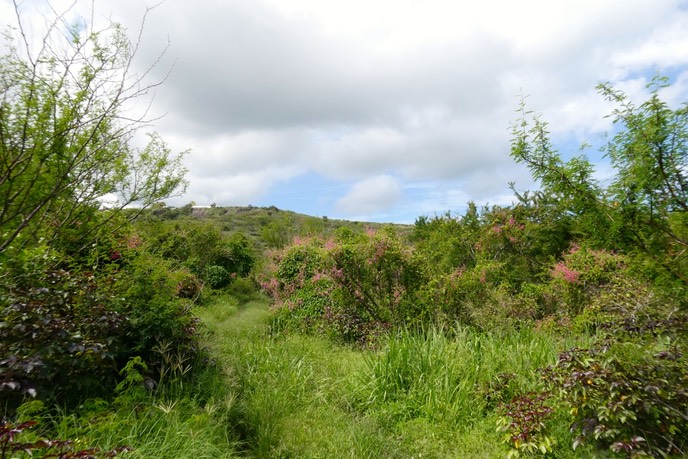 P1025650
