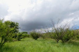 P1025692