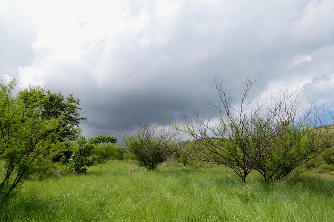 P1025692