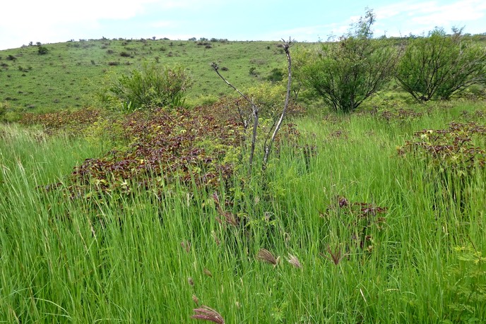 P1025803
