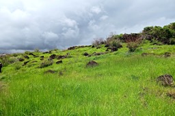 P1025845