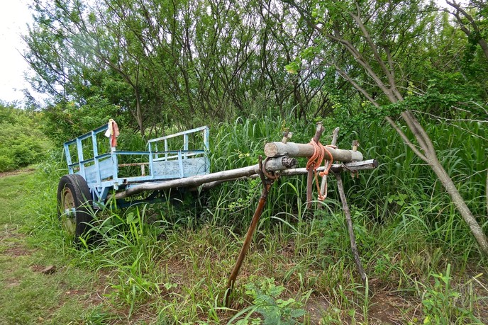 P1025894