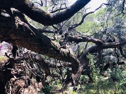 IMG_E4273