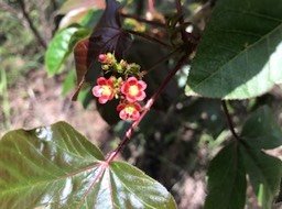 img_9031_med