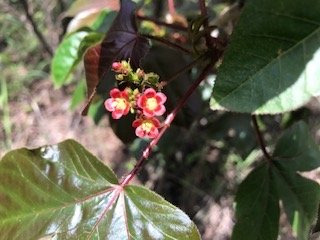 img_9031_med