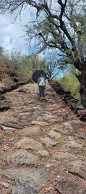 Chemin Pavé Lougnon, Monique et son parasol