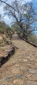 Chemin Pavé Lougnon