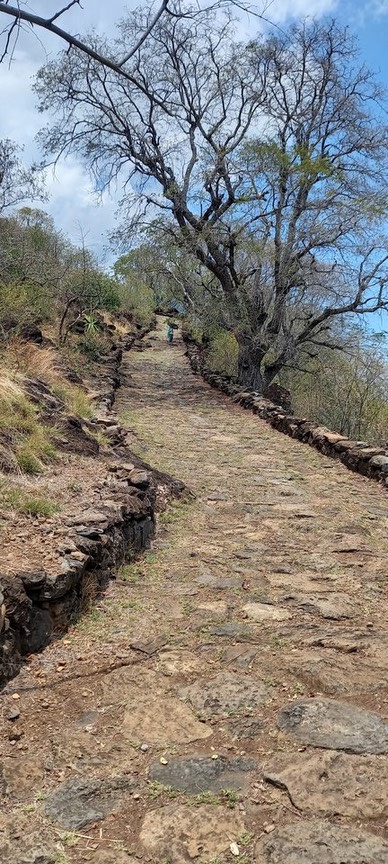 Chemin Pavé Lougnon