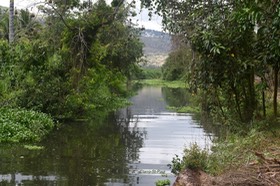 DSC_1876