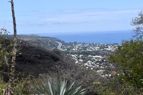 DSC_1908