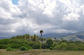 P1022775
