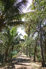 P1022844
