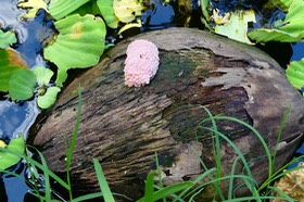 P1022859