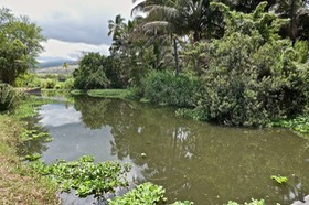 P1022920