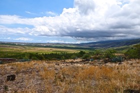 P1022965