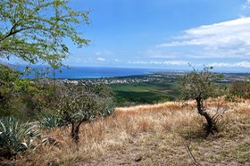 P1023013