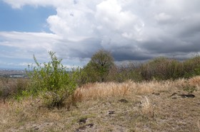 P1023014