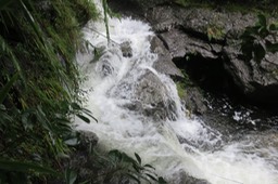 La Ravine du Pont rouge, avant, le matin