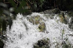 Petite cascade-Ravine Pont Rouge le matin