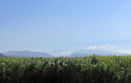 106 Le Grand Sud et ses montagnes sans nuages