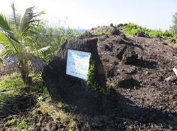 12 Début du sentier